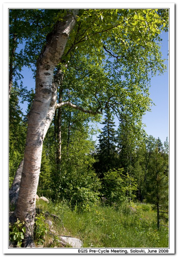 2008-06-29_14-12-04_Solovki_00165_x768.jpg