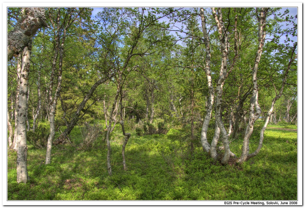 2008-06-25_16-14-06_Solovki_00034_HDR_1024x768.jpg