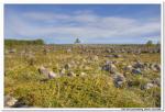 2008-06-29_16-14-04_Solovki_00023_HDR_1024x768.jpg