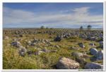 2008-06-29_16-15-52_Solovki_00024_HDR_1024x768.jpg