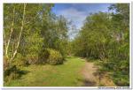 2008-06-29_16-33-22_Solovki_00034_HDR_1024x768.jpg