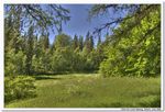 2008-06-29_17-16-42_Solovki_00019_HDR_1024x768.jpg