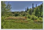 2008-06-29_17-28-42_Solovki_00026_HDR_1024x768.jpg