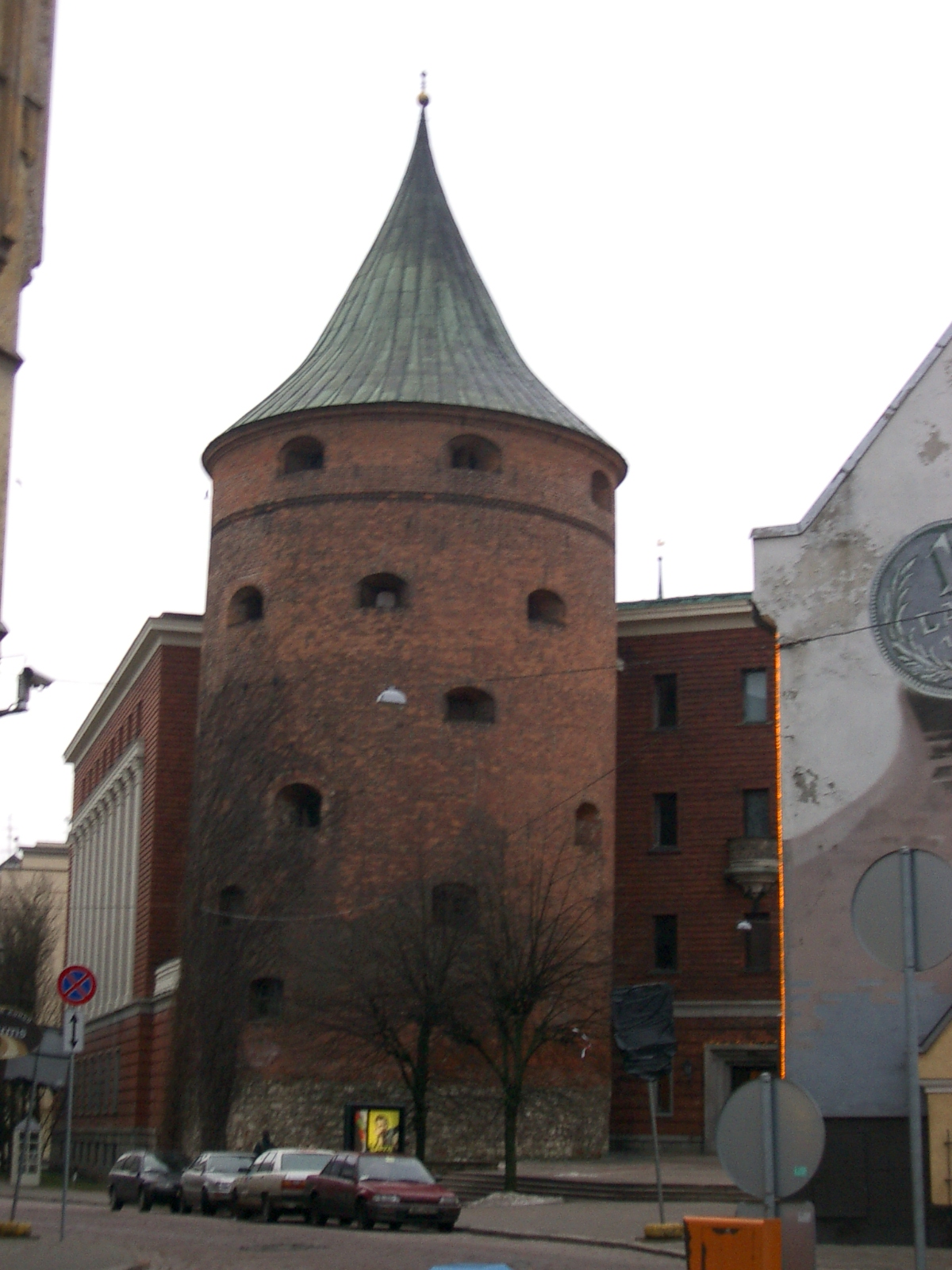 IMGP4641.jpg