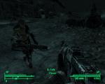 fallout3