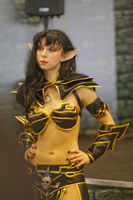 igromir2008-5155.jpg