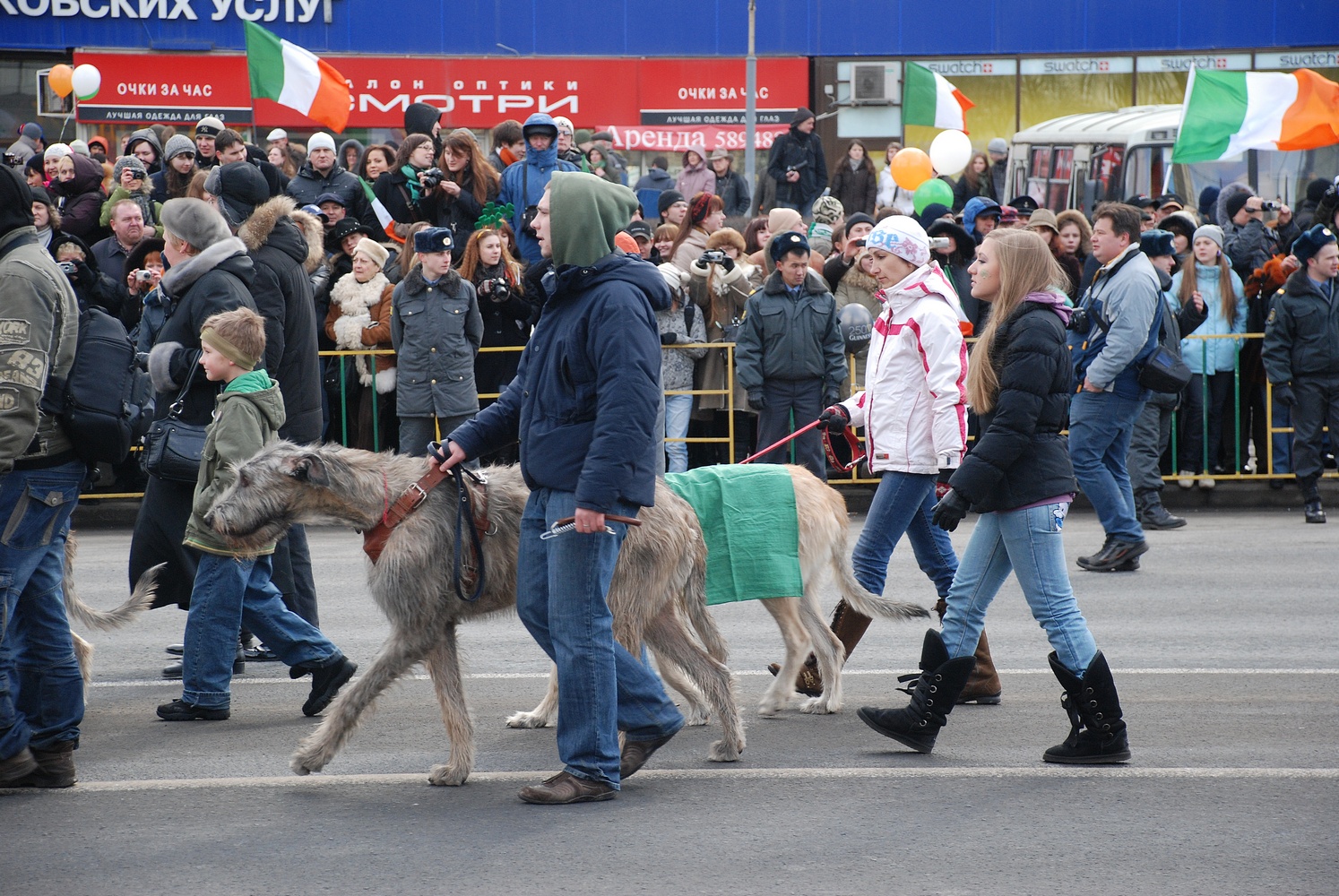 Парад ирландских собак