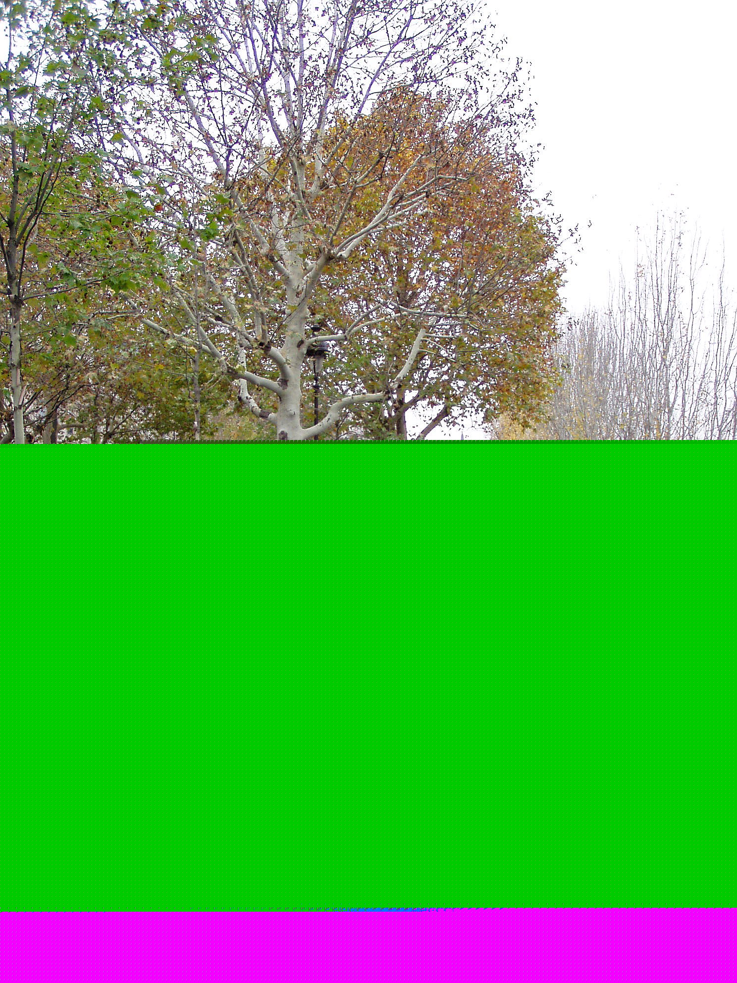 PB180170.jpg
