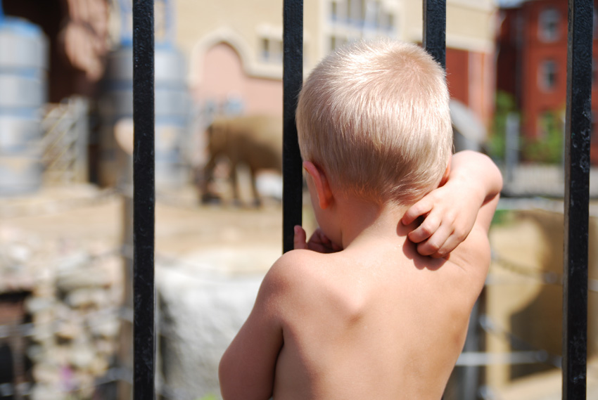 Дети и зоопарк