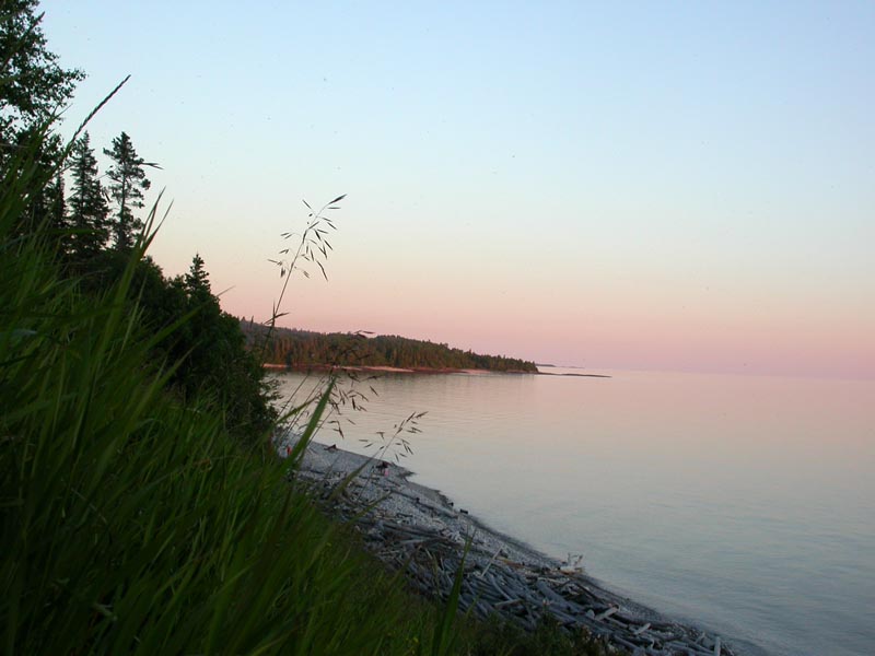 DSCN5195.jpg