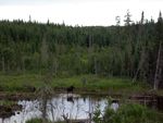 DSCN5365.jpg