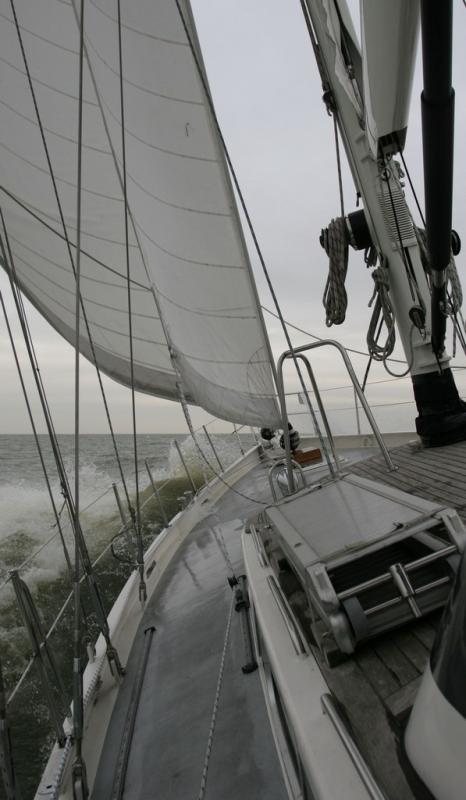 Wind -  5, speed -  10.8 knots