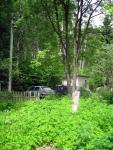 Dacha_52km_04.06.2006 11-51-03.JPG