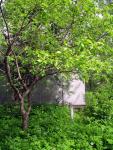 Dacha_52km_04.06.2006 11-51-19.JPG
