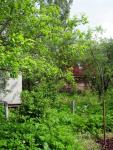 Dacha_52km_04.06.2006 11-51-25.JPG
