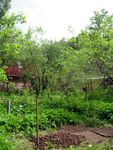Dacha_52km_04.06.2006 11-51-32.JPG