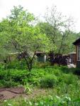 Dacha_52km_04.06.2006 11-51-39.JPG