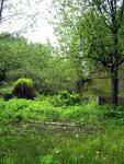 Dacha_52km_04.06.2006 11-52-01.JPG
