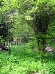 Dacha_52km_04.06.2006 11-52-12.JPG