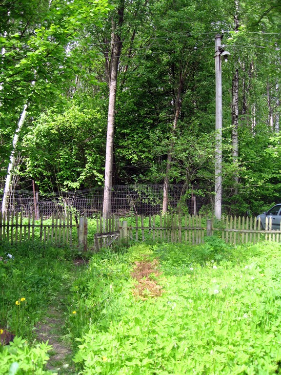 Dacha_52km_04.06.2006 11-52-22.JPG