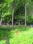 Dacha_52km_04.06.2006 11-52-22.JPG