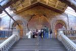 nhm_sequoia