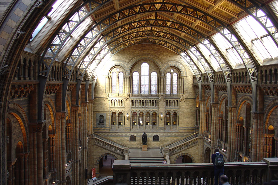 nhm_inside