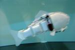 london_aquarium3