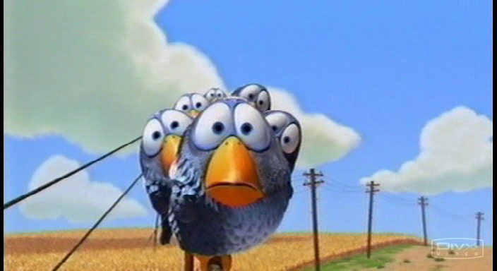 birds