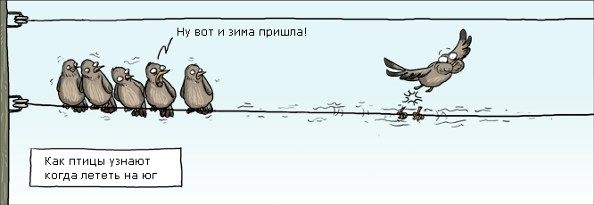 Ну что ж полетели