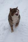 IMG_3289_small