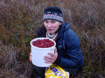 mycranberry.jpg