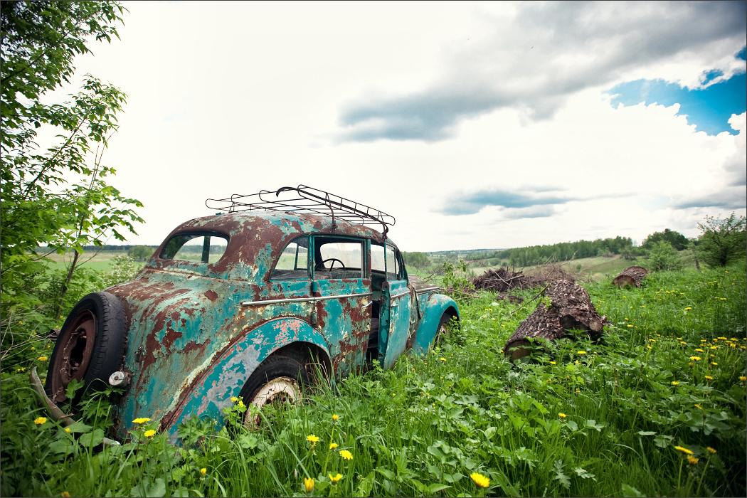 may_2010_chernousovo37_compressed.jpg