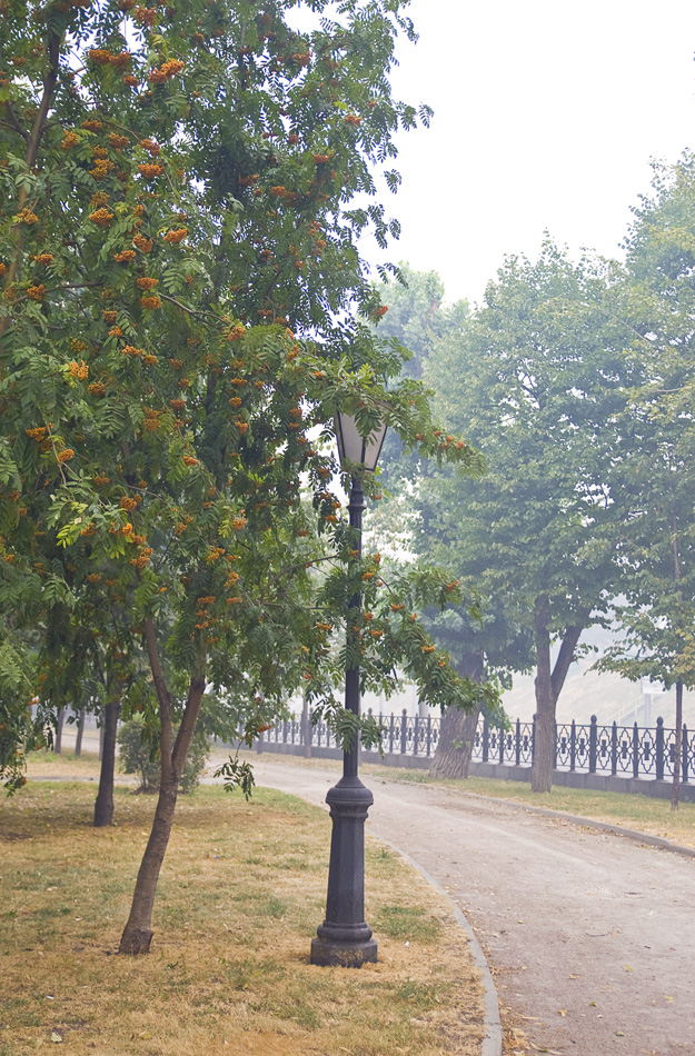 Дым в Москве