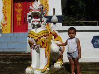 DSC06240