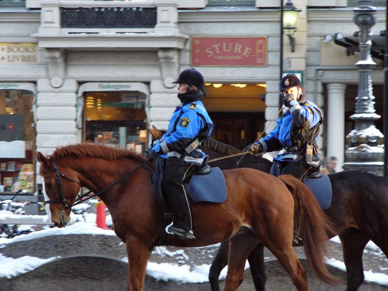 Полиция Стокгольма