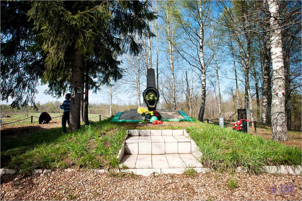 Фото Демянского Района
